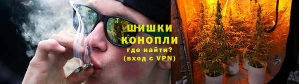 дживик Горнозаводск
